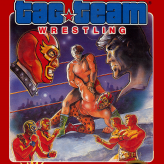 tag team wrestling game