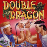 double dragon nude hack game