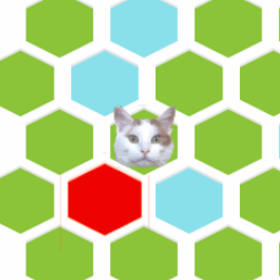 Trap the Cat - Play Game Online