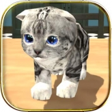 cat simulator: kitty craft game