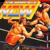 natsume championship wrestling game