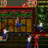 double dragon 3: the rosetta stone game