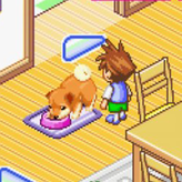 DOG GAMES 🐶 - Play Online Games!