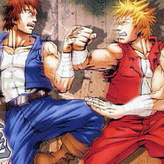 double dragon advance game