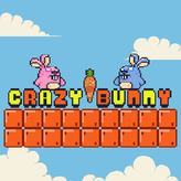 crazy bunny game