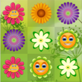 flower rush game